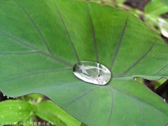 clip_image007.jpg